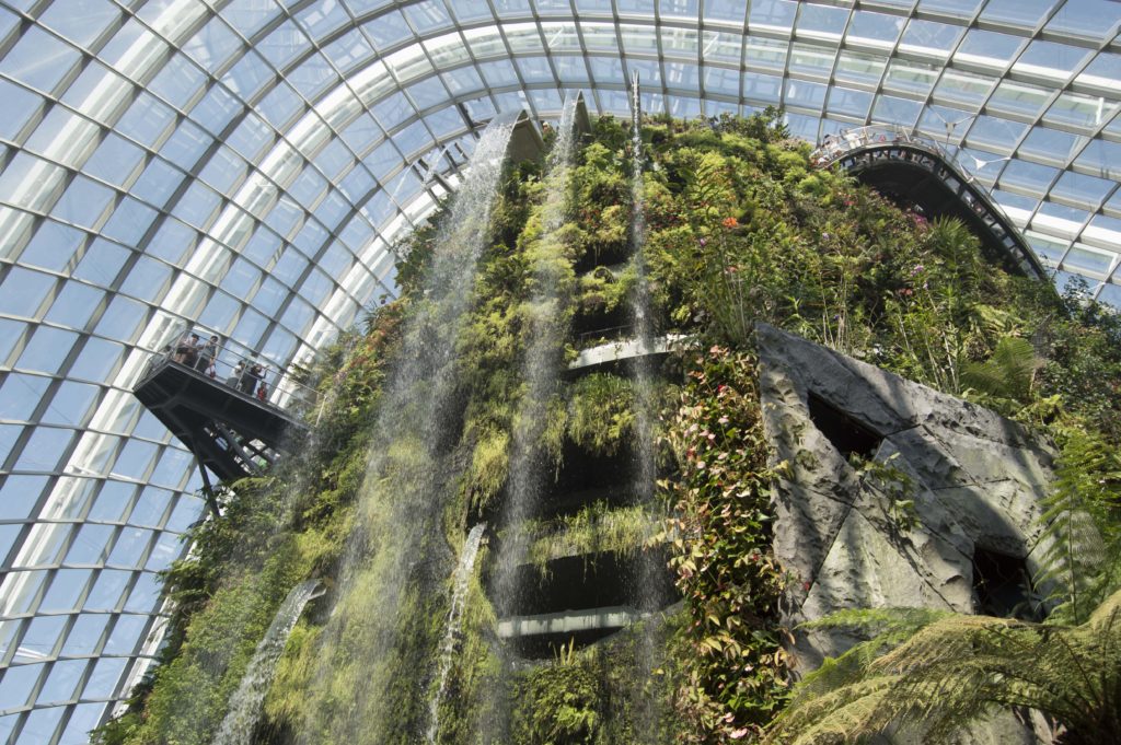 It's all contained in a large dome to approximate the cloud forest climate