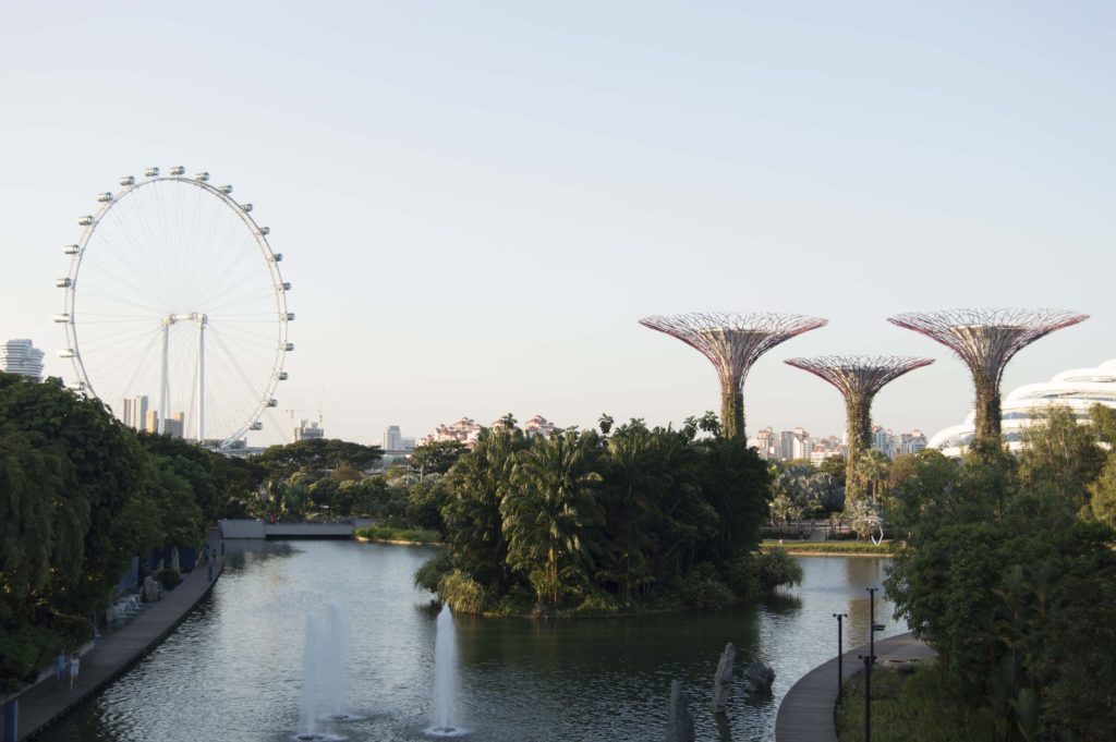 The trees and ferris wheel, another of the Singapore skyline's main features